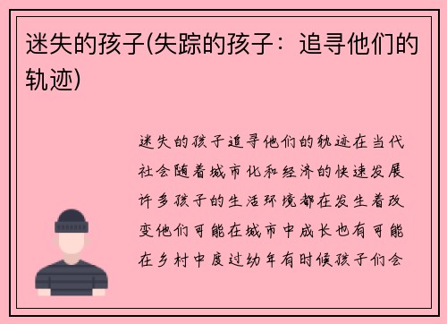 迷失的孩子(失踪的孩子：追寻他们的轨迹)